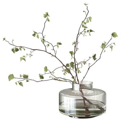 水生植物-1